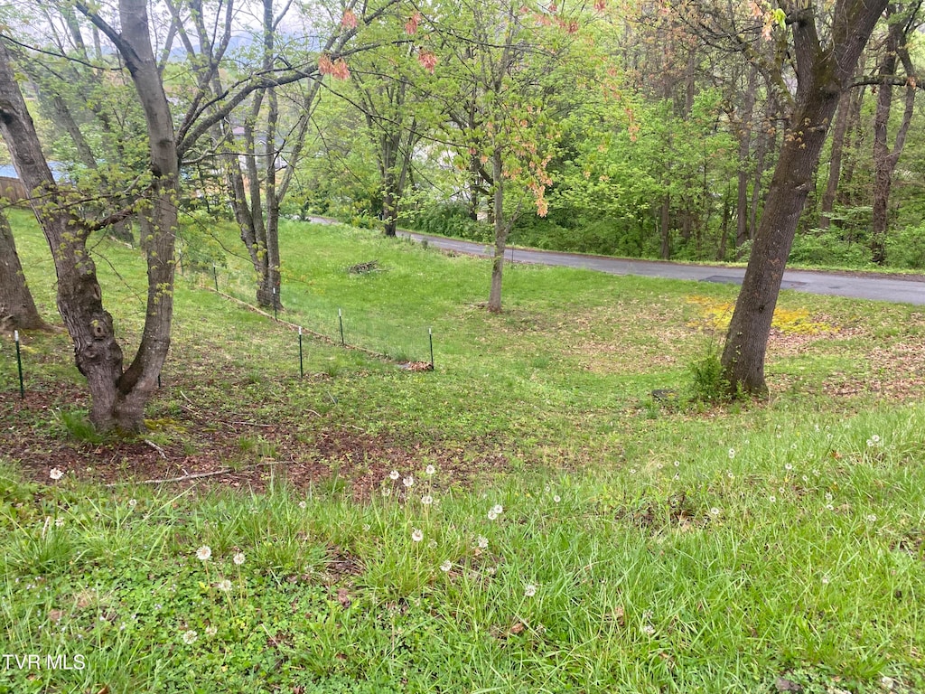 119 Massey St, Elizabethton, TN 37643