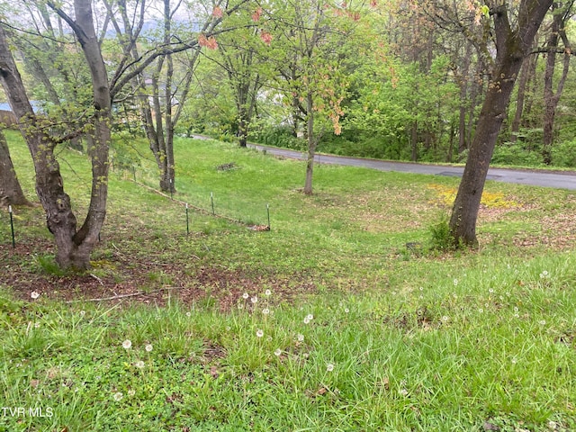 119 Massey St, Elizabethton, TN 37643