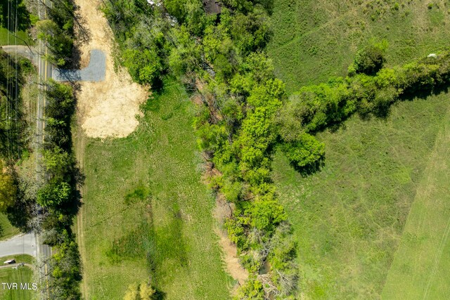 LOT4 E Mckee St, Greeneville, TN 37743 - photo 15