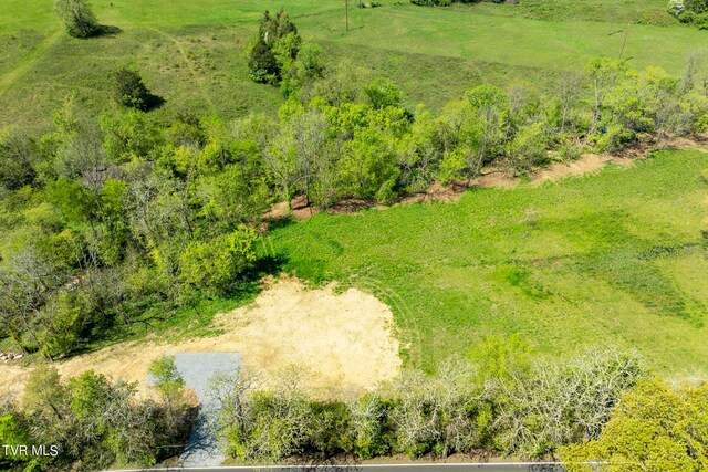 LOT4 E Mckee St, Greeneville, TN 37743 - photo 4