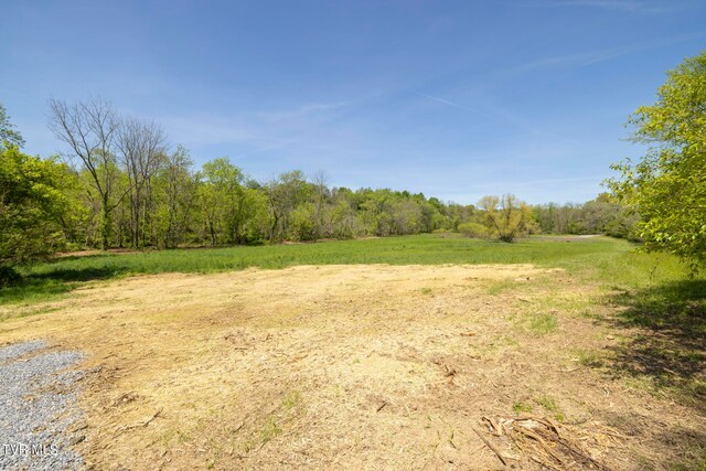 LOT4 E Mckee St, Greeneville, TN 37743 - photo 9