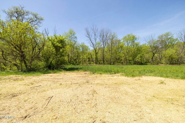 LOT4 E Mckee St, Greeneville, TN 37743 - photo 10