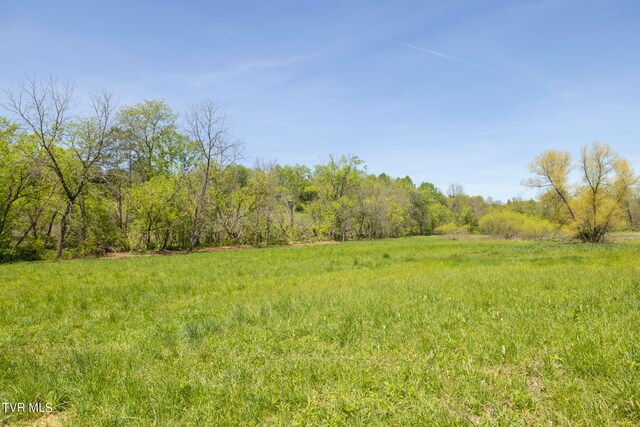 LOT4 E Mckee St, Greeneville, TN 37743 - photo 11