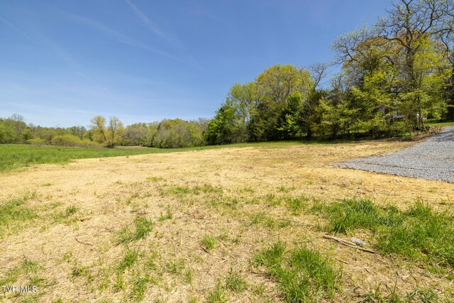 LOT4 E Mckee St, Greeneville, TN 37743 - photo 12