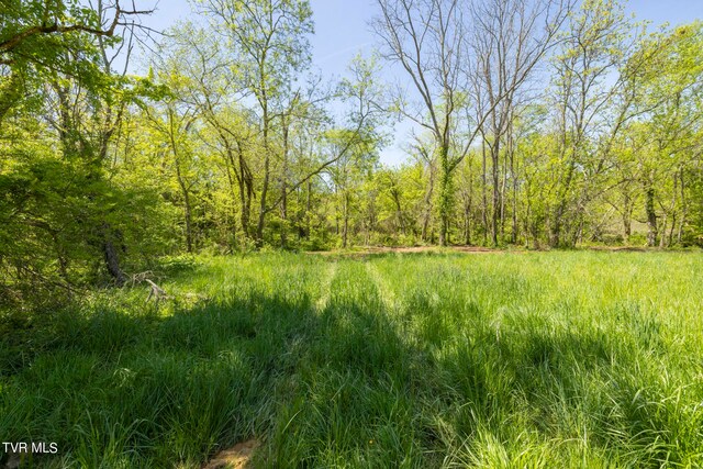 LOT4 E Mckee St, Greeneville, TN 37743 - photo 13