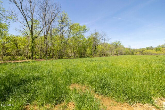 LOT4 E Mckee St, Greeneville, TN 37743 - photo 14