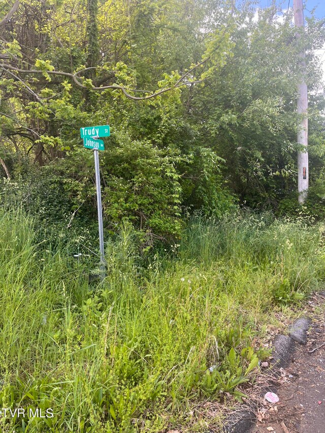 0 Johnson Ave, Elizabethton, TN 37643