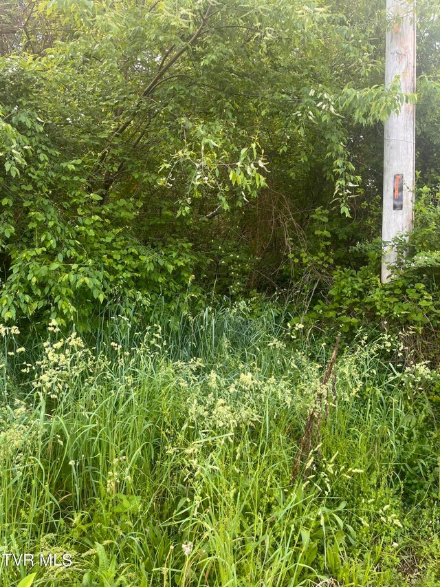 0 Johnson Ave, Elizabethton, TN 37643
