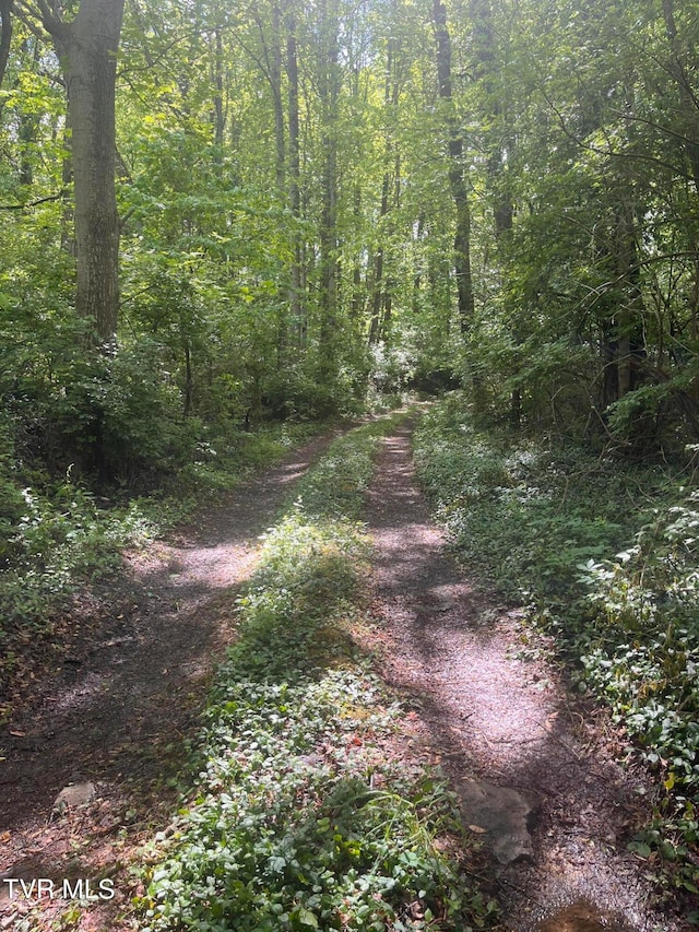 0 Johnson Ave, Elizabethton, TN 37643