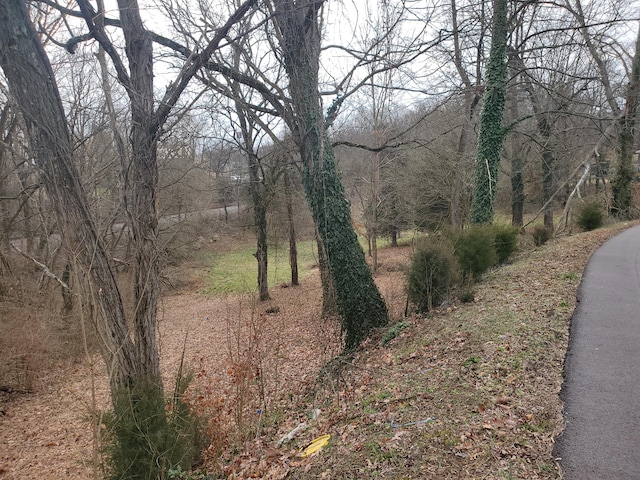 TBD Tall Oak Ct, Kingsport TN, 37663 land for sale