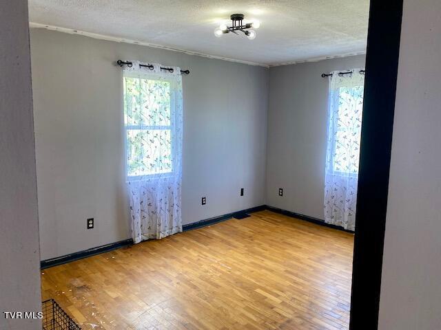 unfurnished room featuring light hardwood / wood-style floors, a healthy amount of sunlight, and a textured ceiling