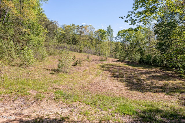 TBD Seay Hollow Rd, Bulls Gap TN, 37711 land for sale