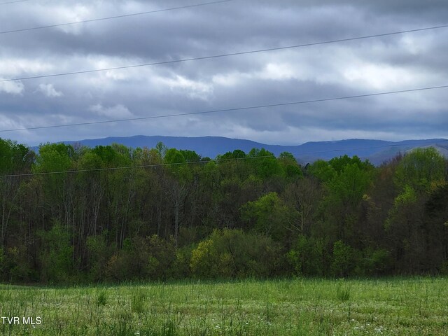 LOT-5 Gravel Hill Rd, Limestone, TN 37681 - photo 7