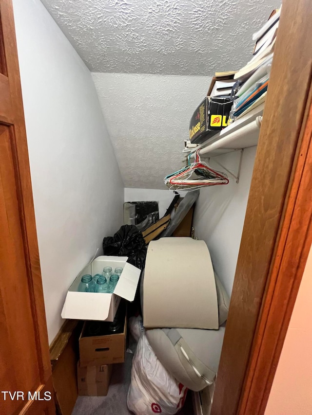 spacious closet with vaulted ceiling