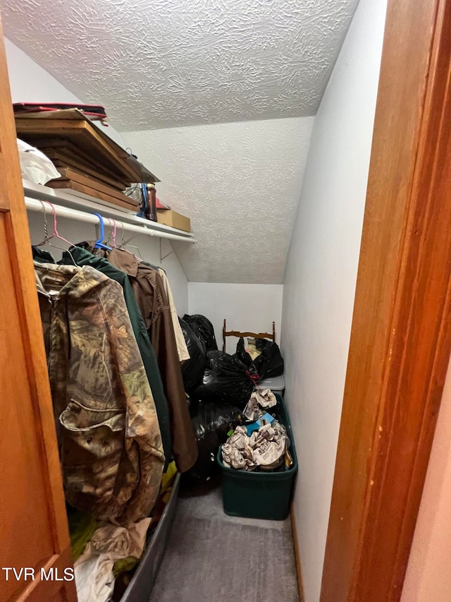 spacious closet featuring vaulted ceiling and carpet flooring