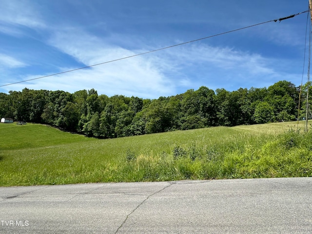 Listing photo 2 for TBD Tipton Ave, Church Hill TN 37642