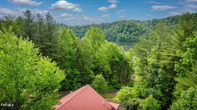 view of drone / aerial view