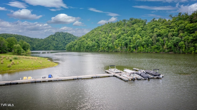 property view of water featuring a dock