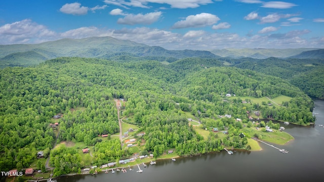 bird's eye view with a water and mountain view