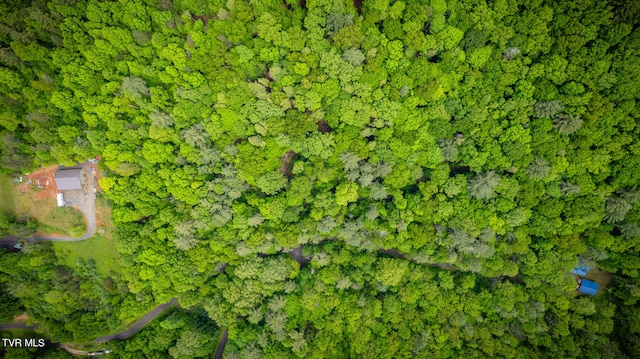 view of bird's eye view