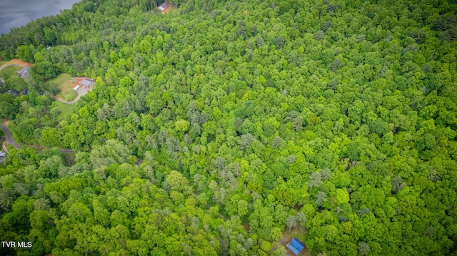 view of drone / aerial view