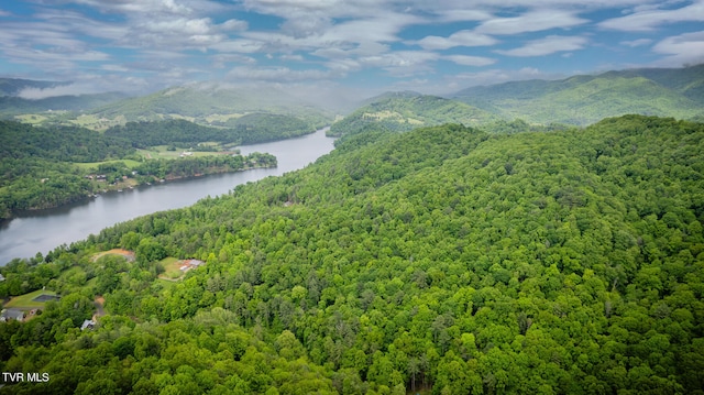 birds eye view of property featuring a water and mountain view