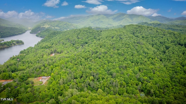 bird's eye view featuring a water and mountain view