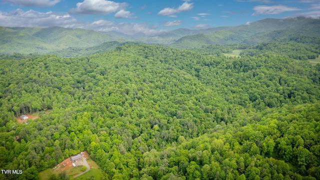 view of mountain view