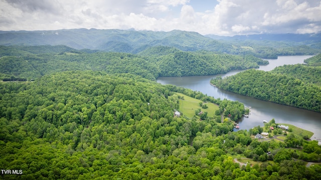 birds eye view of property featuring a water and mountain view