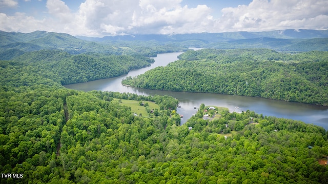 birds eye view of property with a water and mountain view