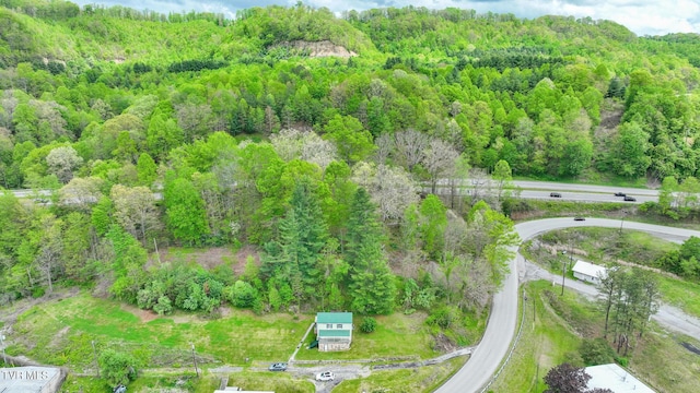 view of bird's eye view