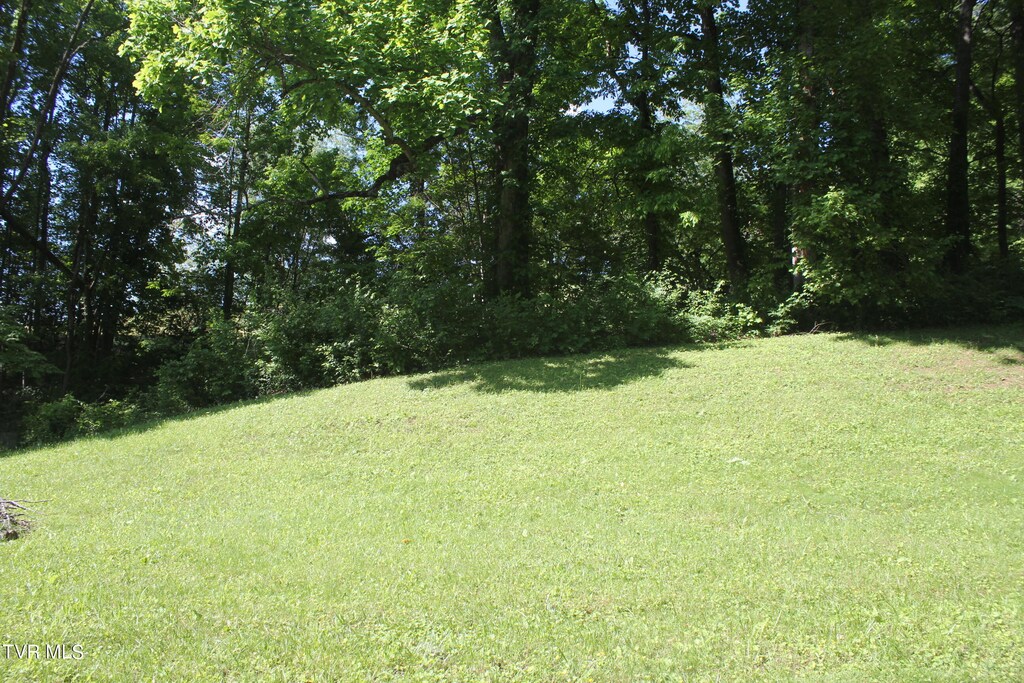 101 Knobb Hill Rd, Johnson City, TN 37601 - photo 1