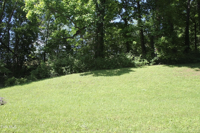 101 Knobb Hill Rd, Johnson City, TN 37601 - photo 1