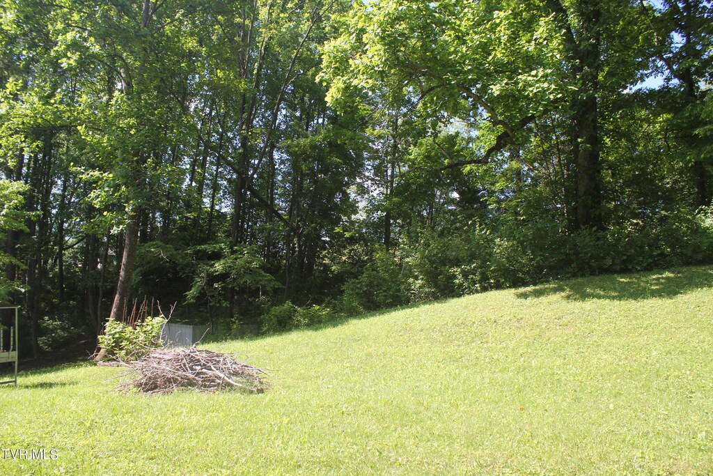 101 Knobb Hill Rd, Johnson City, TN 37601 - photo 2