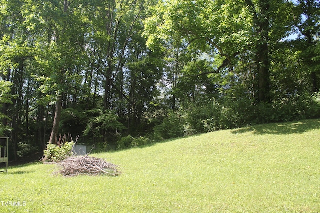 101 Knobb Hill Rd, Johnson City, TN 37601 - photo 2