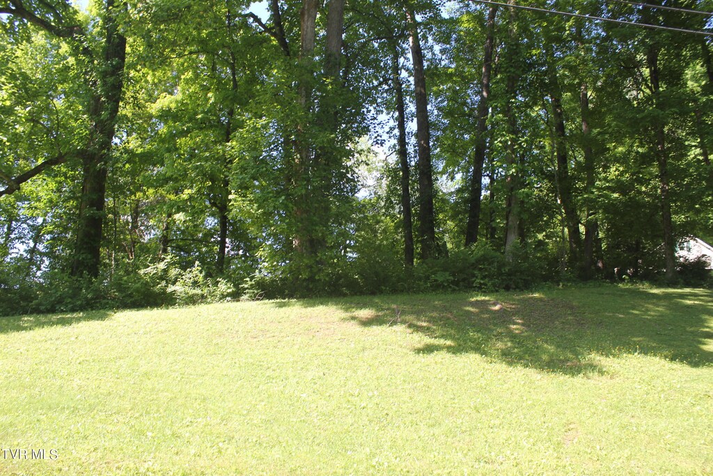 101 Knobb Hill Rd, Johnson City, TN 37601 - photo 3