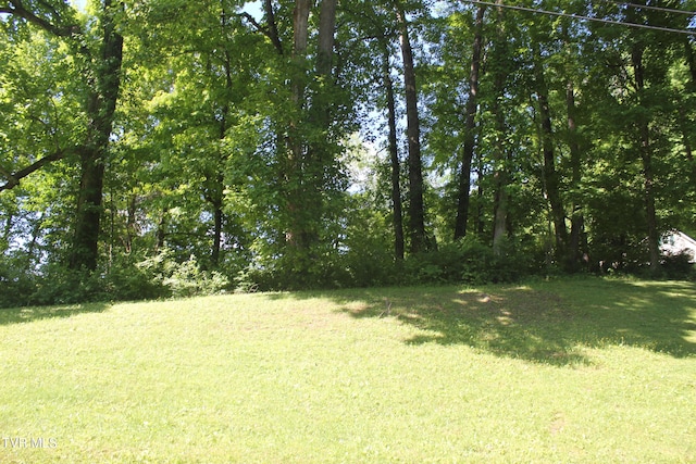 101 Knobb Hill Rd, Johnson City, TN 37601 - photo 3