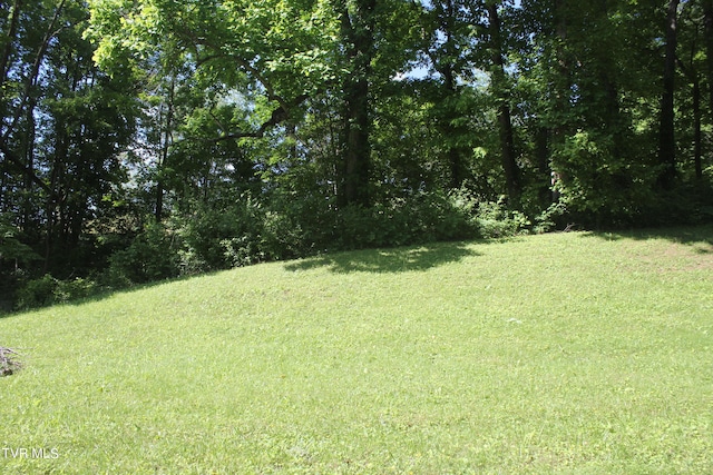 101 Knobb Hill Rd, Johnson City TN, 37601 land for sale