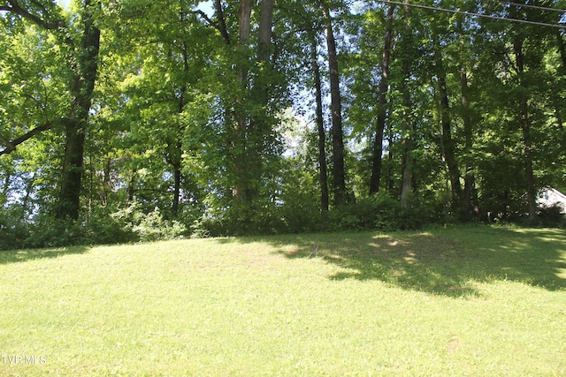 Listing photo 3 for 101 Knobb Hill Rd, Johnson City TN 37601