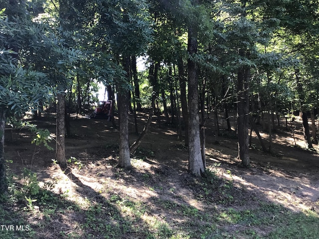 L23R Maple Crst, Greeneville TN, 37743 land for sale