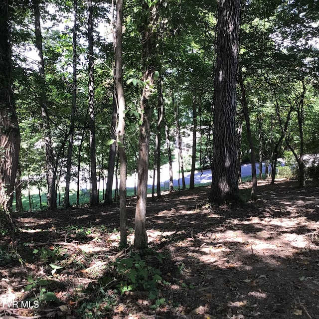 L23R Maple Crst, Greeneville, TN 37743