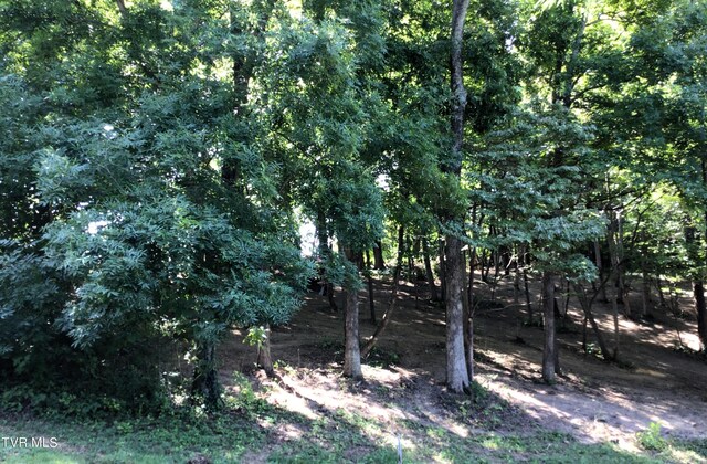 L24R Maple Crst, Greeneville, TN 37743