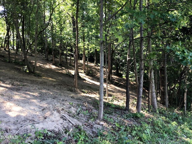 L24R Maple Crst, Greeneville, TN 37743