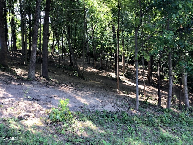 L24R Maple Crst, Greeneville, TN 37743