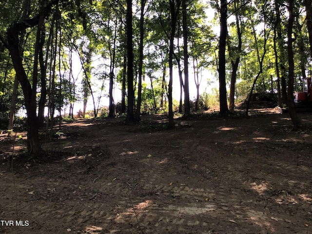 L24R Maple Crst, Greeneville, TN 37743