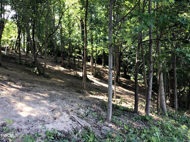 L24R Maple Crst, Greeneville, TN 37743