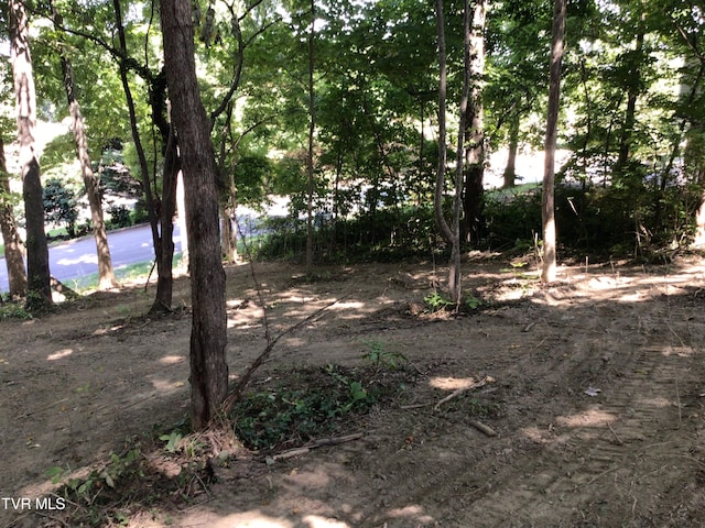 L24R Maple Crst, Greeneville, TN 37743
