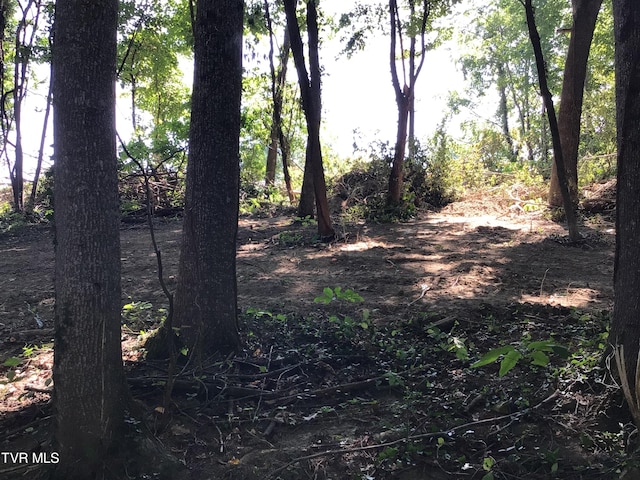 L24R Maple Crst, Greeneville, TN 37743