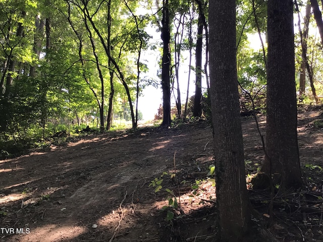 L24R Maple Crst, Greeneville, TN 37743