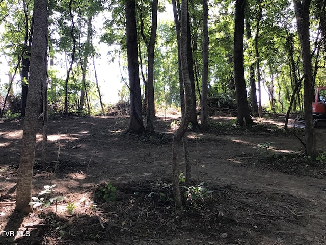 L24R Maple Crst, Greeneville, TN 37743